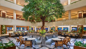 Grand Mirage Resort's map